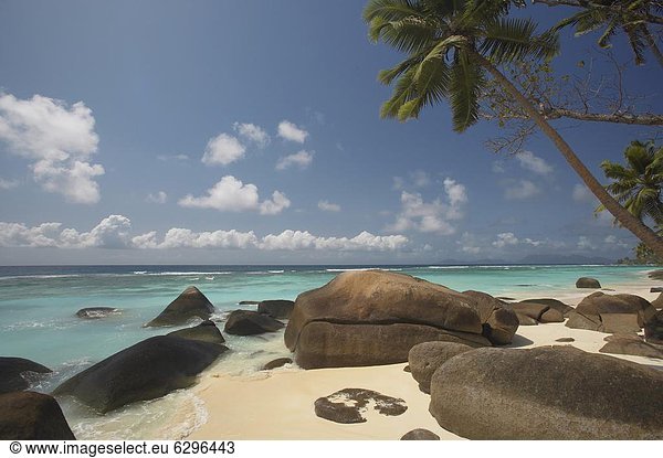 Felsbrocken  Tropisch  Tropen  subtropisch  Strand  Baum  Palme  Afrika  Indischer Ozean  Indik  Seychellen