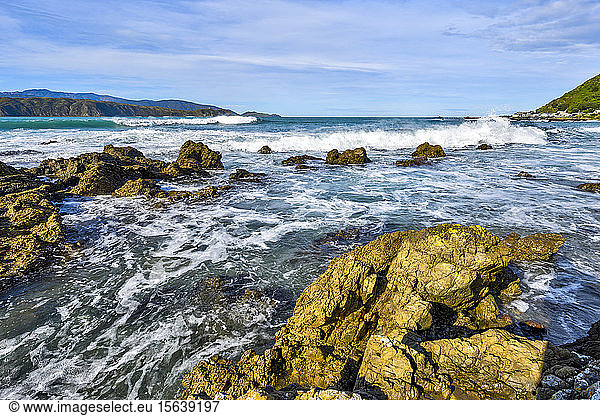 Felsen an der Küste der Südküste der Nordinsel Neuseelands; Wellington  Nordinsel  Neuseeland