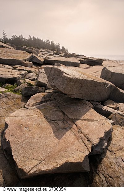 Felsen  Küste  Maine