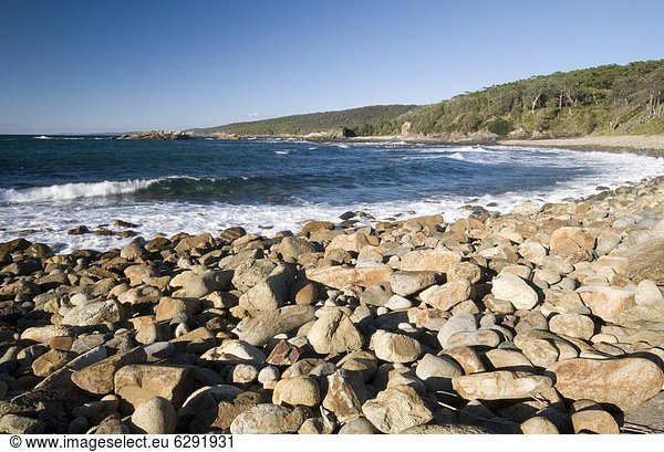 Felsen  Küste  Meer  rauh  Pazifischer Ozean  Pazifik  Stiller Ozean  Großer Ozean  Australien  New South Wales