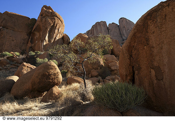 Felsen und Vegetation Spitzkoppe Damaraland Namibia Afrika