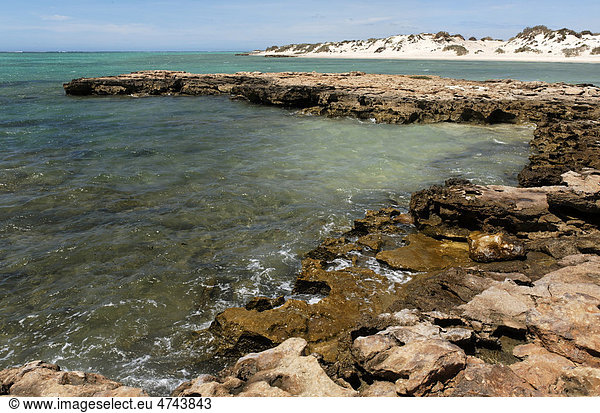 Felsenküste  Cape-Range-Nationalpark  Exmouth  Westaustralien