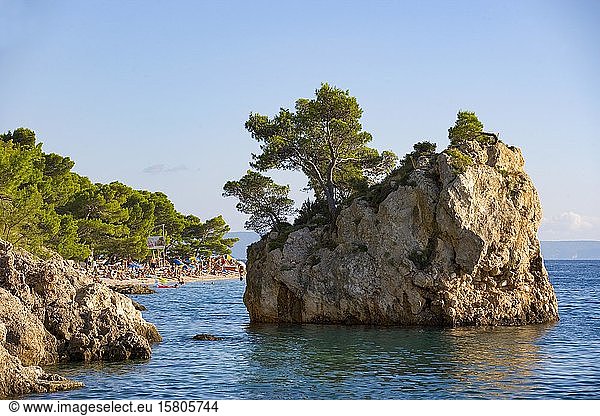 Felsenküste und Badestrand bei Brela  Makarska Riviera  Dalmatien  kroatische Adriaküste  Kroatien  Europa