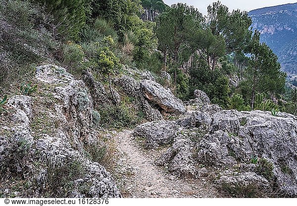 Felsenpfad im Kadisha-Tal  auch Heiliges Tal genannt  im nördlichen Gouvernement Libanon.