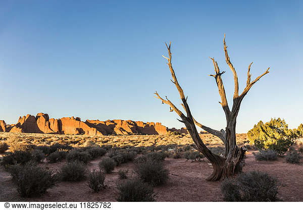 Felsformation Arches-Nationalpark Moab Utah USA