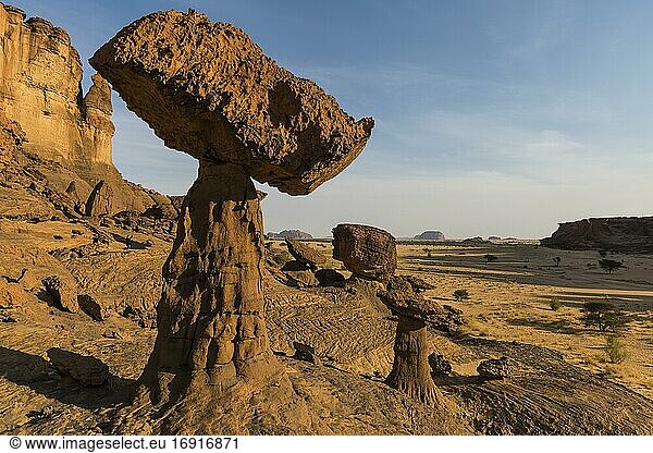 Felsformation  Hoodoos  Ennedi-Plateau  Tschad  Afrika