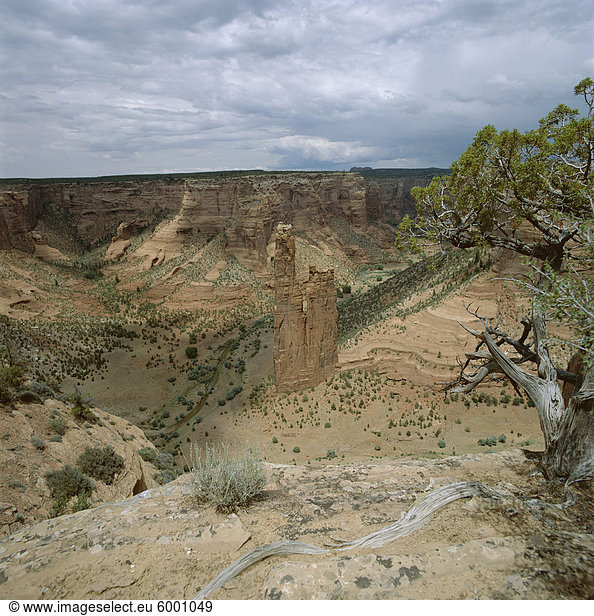 Felsformation  Spider Rock von Rim  Canyon de Chelly  Arizona  Vereinigte Staaten von Amerika (USA)  Nordamerika
