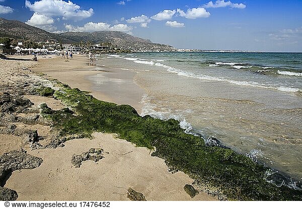 Felsformation Strand von Malia Kreta Griechenland Europa