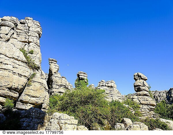 Felsformationen aus Kalkstein  Naturschutzgebiet El Torcal  Torcal de Antequera  Provinz Malaga  Andalusien  Spanien  Europa