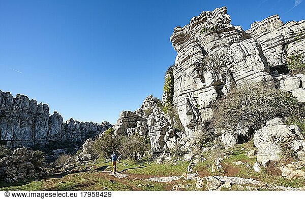 Felsformationen aus Kalkstein  Naturschutzgebiet El Torcal  Torcal de Antequera  Provinz Malaga  Andalusien  Spanien  Europa