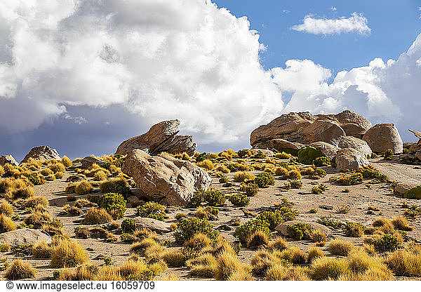 Felsformationen bei Laguna Turquiri; Abteilung Potosi  Bolivien
