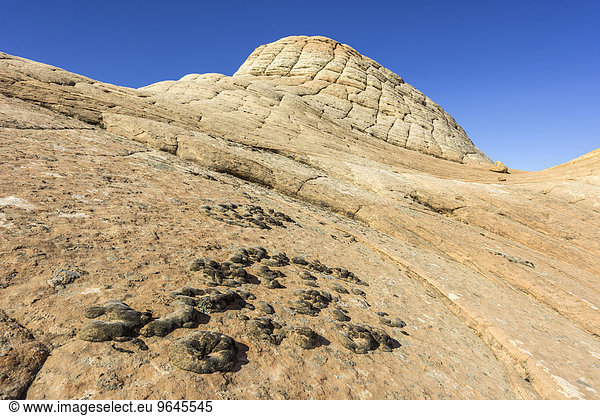 Felsformationen der Candy Cliffs  Washington  Utah  USA  Nordamerika
