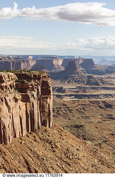 Felsformationen im Canyonlands National Park  Moab  Utah  Vereinigte Staaten von Amerika  Nordamerika