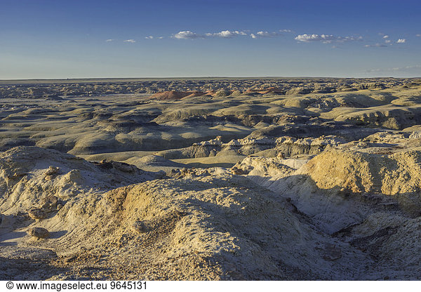 Felsformationen in der Bisti Wilderness,  Farmington,  New Mexico,  USA,  Nordamerika