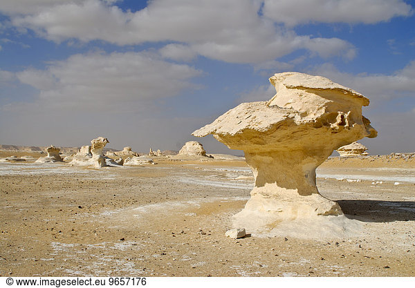 Felsformationen  Libysche Wüste  Ägypten  Afrika