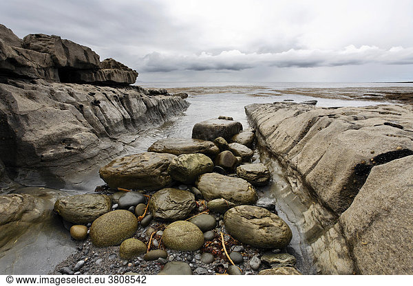 Felsige Küstenszenerie am Finnish Rock  Inis Oirr  Aran Inseln  Irland