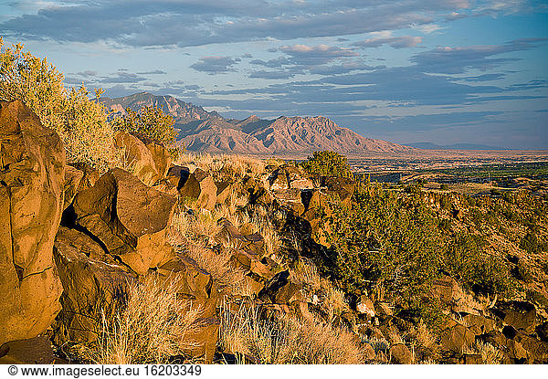 Felsige Landschaft bei Albuquerque  New Mexico  USA