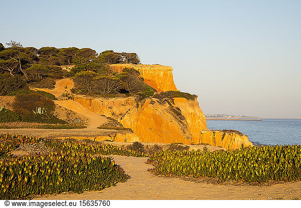 Felsige Sandsteinküste bei Sonnenuntergang  Algarve  Portugal
