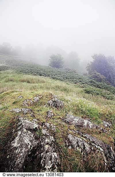 Felsiger Hügel im Nebel