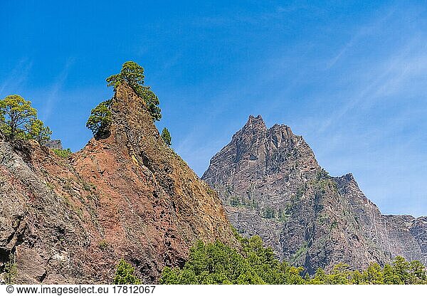 Felsspitzen im Vulkankessel des Nationalpark Caldera de Taburiente  Los Brecitos  Insel Palma  Kanarische Inseln  Spanien  Europa