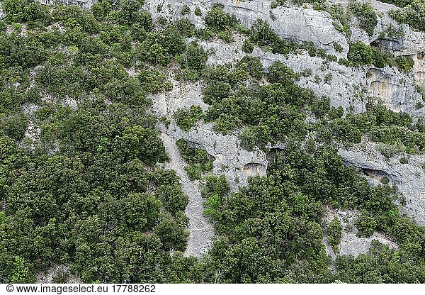 Felswand im Naturpark Luberon  Provence  Frankreich  Europa