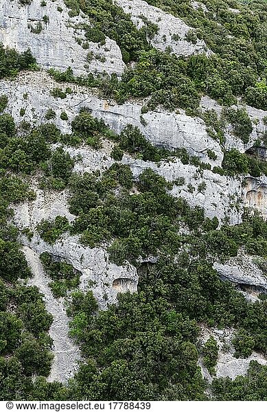 Felswand im Naturpark Luberon  Provence  Frankreich  Europa
