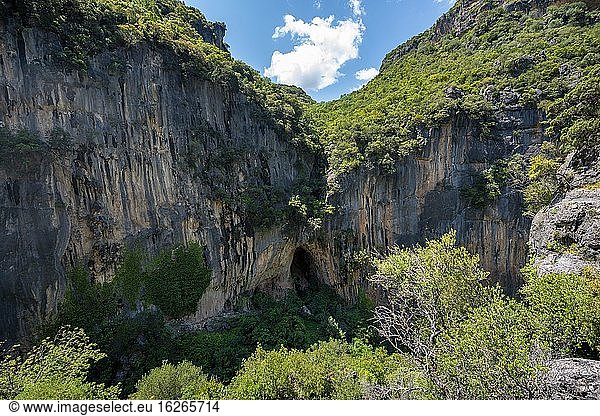 Felswand mit Höhle  Schlucht mit grünen Bäumen  Garganta Verde  Sierra de Cádiz  Provinz Cádiz  Spanien  Europa