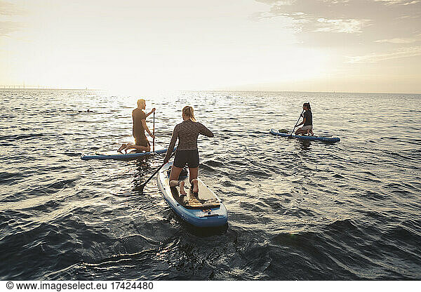 Female and male friends rowing paddleboard in sea during sunset