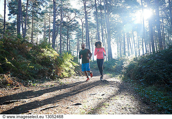 Female and male runners running in sunlit forest
