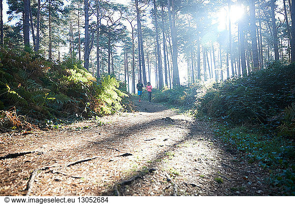 Female and male runners running in sunlit forest  distant view