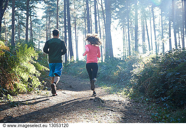 Female and male runners running in sunlit forest  rear view