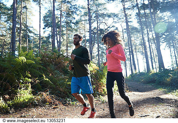 Female and male runners running together in sunlit forest