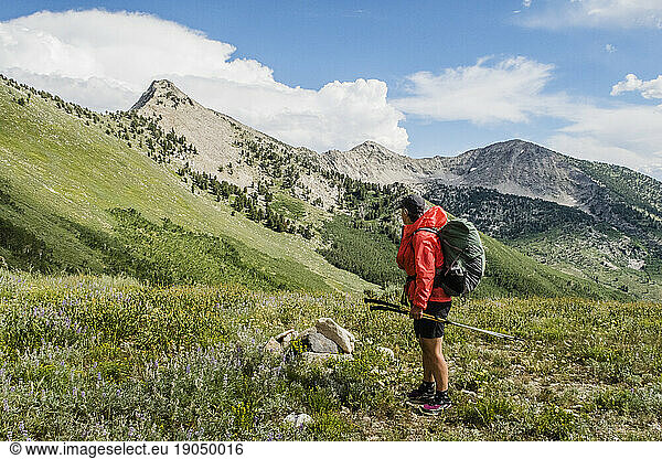 Female backpacker hiking along Ruby Crest National Recreation Trail  Elko  Nevada  USA