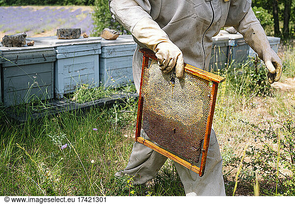 Female beekeeper with beehive walking in farm