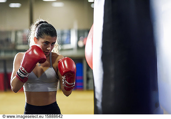 Female boxer training at punch bag in gym