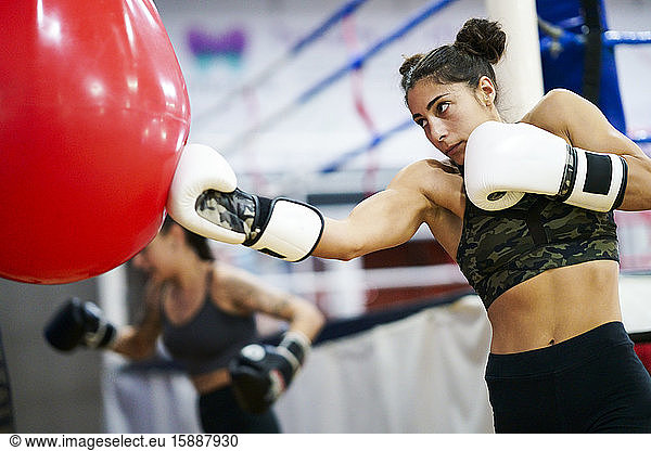 Female boxers training at punch bag in gym