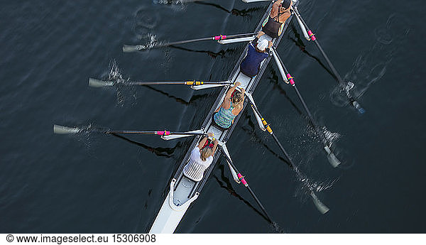 Female crew racers rowing  high angle view  Lake Union  Seattle  Washington  USA.