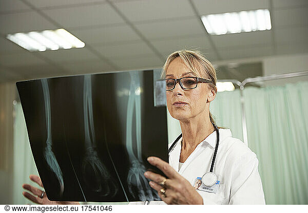Female doctor with eyeglasses examining X-ray in medical room