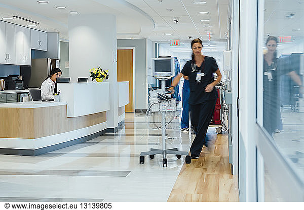 Female doctor working at reception while nurse taking monitoring equipment at hospital