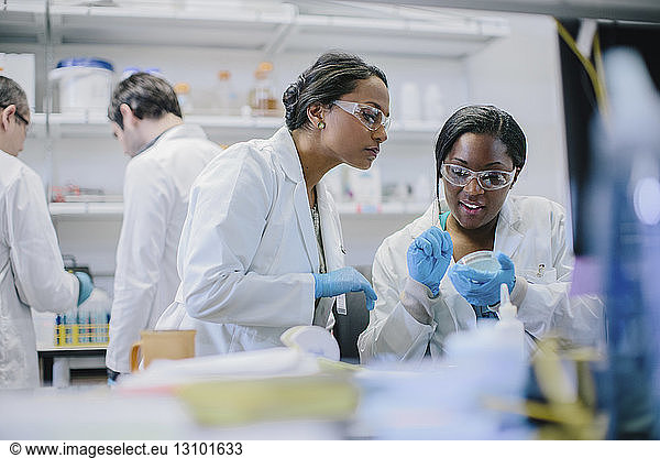 Female doctors examining petri dish in laboratory with male coworkers in background