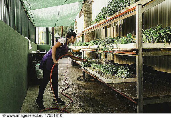 Female entrepreneur watering plants at garden center