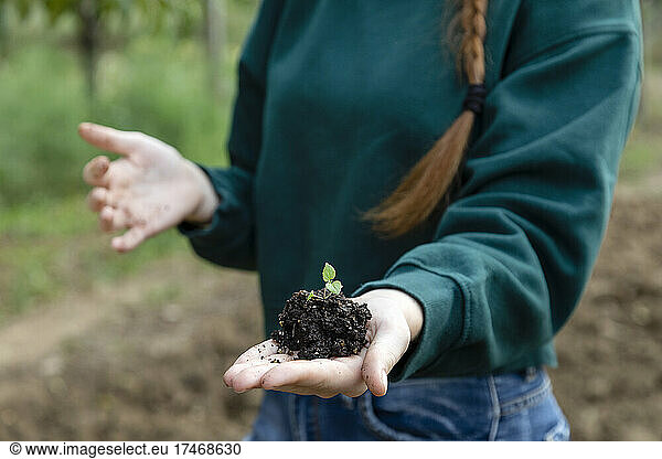 Female farmer holding new plant sprouting from soil