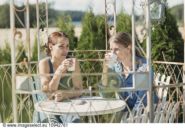 Female friends drinking coffee in back yard