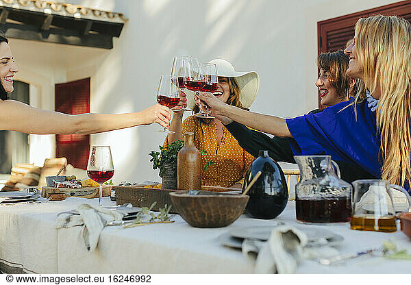 Female friends having toast