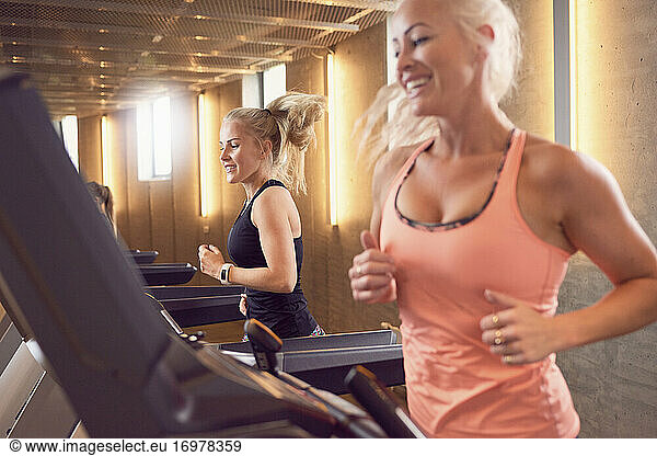 Female friends running on treadmills
