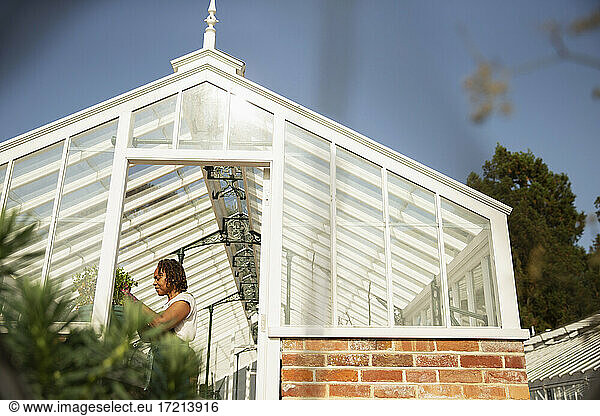 Female garden shop owner working in sunny greenhouse doorway