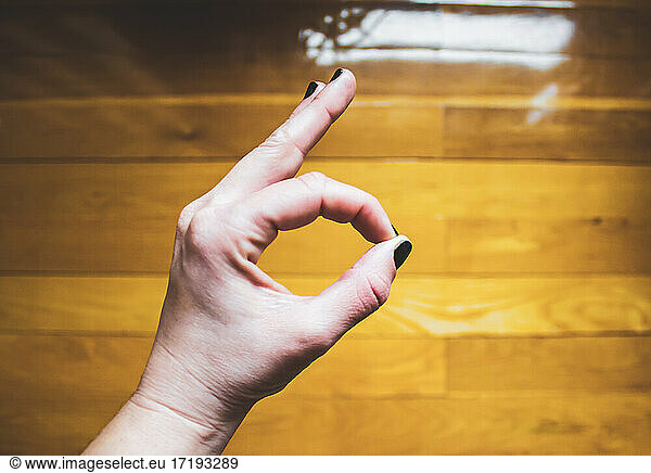 female hand making perfect symbol against park floor