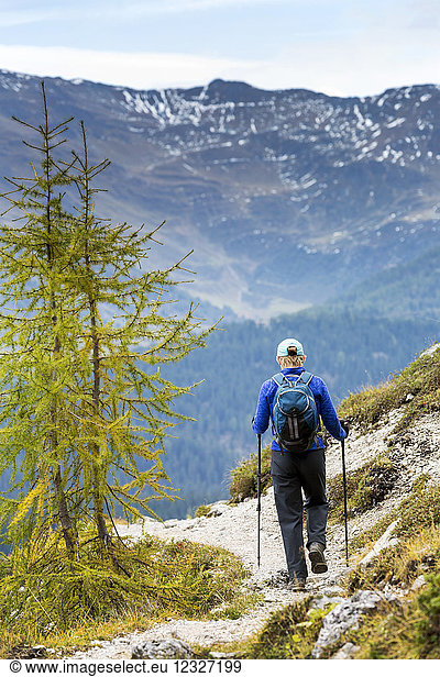 Female hiker along alpine trail with autumn colours and valley below; Sesto  Bolzano  Italy