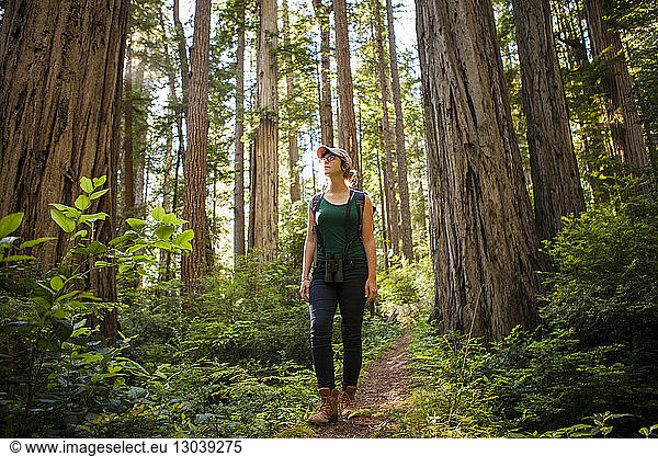 Female hiker exploring forest at Redwood National and State Parks