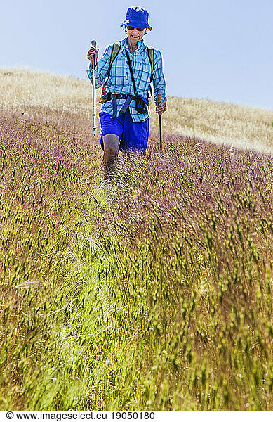 Female hiker walking through tall grass  Santa Rosa  California  USA